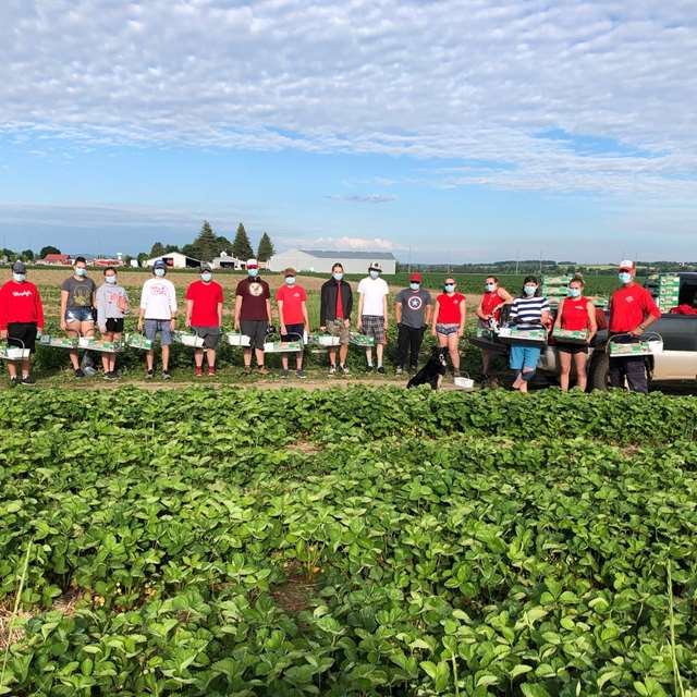 Murphy's Farm Market & Bakery ca.PickYourOwn.farm Murphy's Farm Market & Bakery ca.PickYourOwn.farm